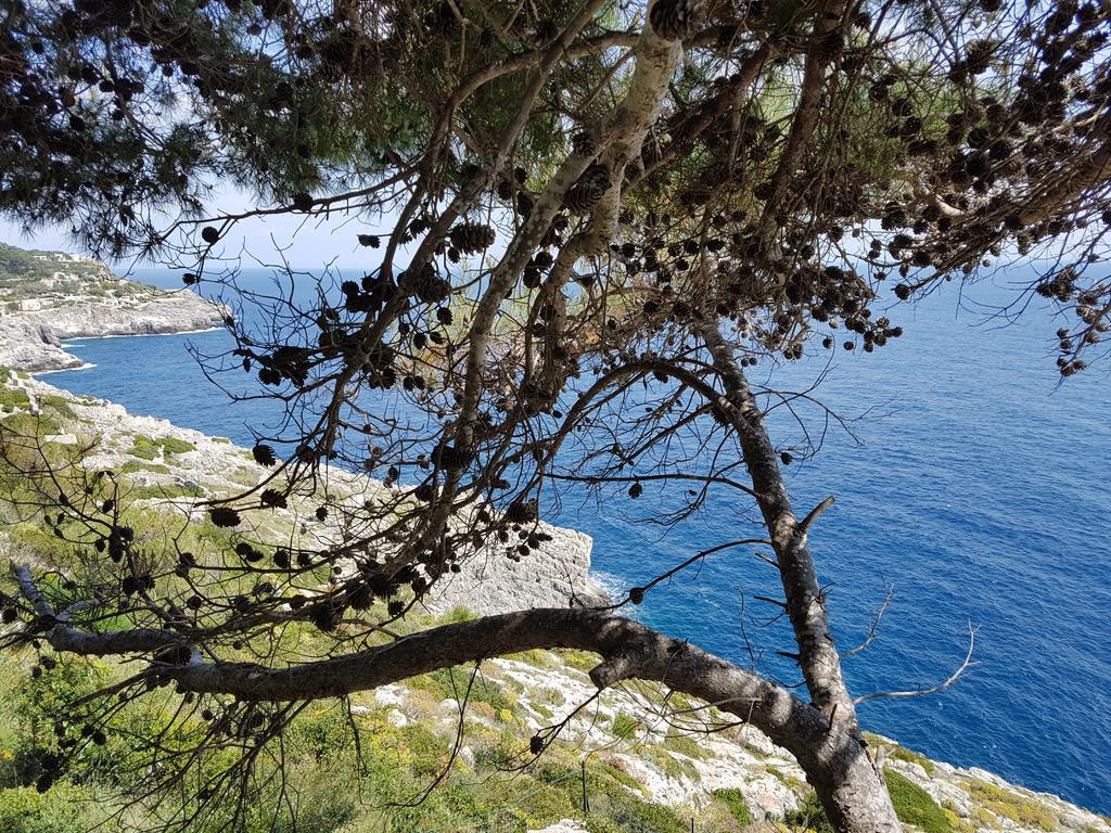 Villa Bocca Del Pozzo Ґальяно-дель-Капо Екстер'єр фото